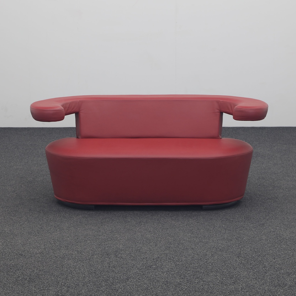 Brühl Big Arm Leder Design Sofa