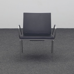 Leder Loungesessel
