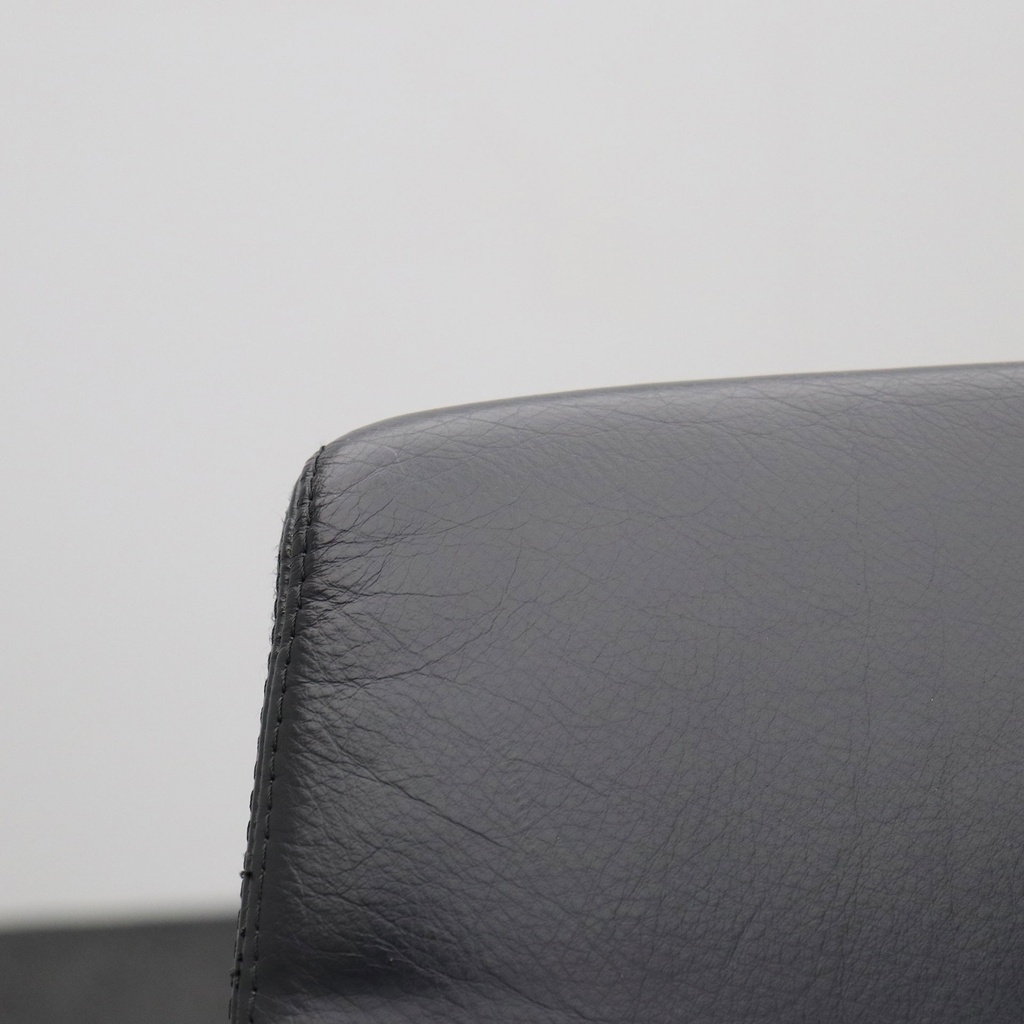 Leder Freischwinger Konferenzstuhl