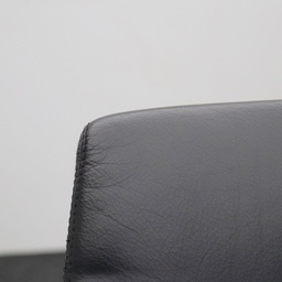 Leder Freischwinger Konferenzstuhl