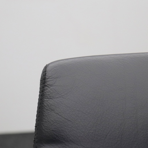 Leder Freischwinger Konferenzstuhl