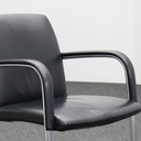 Leder Freischwinger Konferenzstuhl