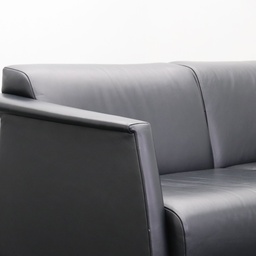 Leder Loungesofa Schwarz