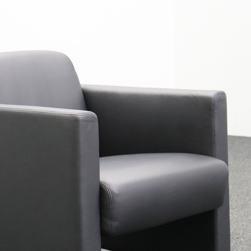 Loungesessel Girsberger