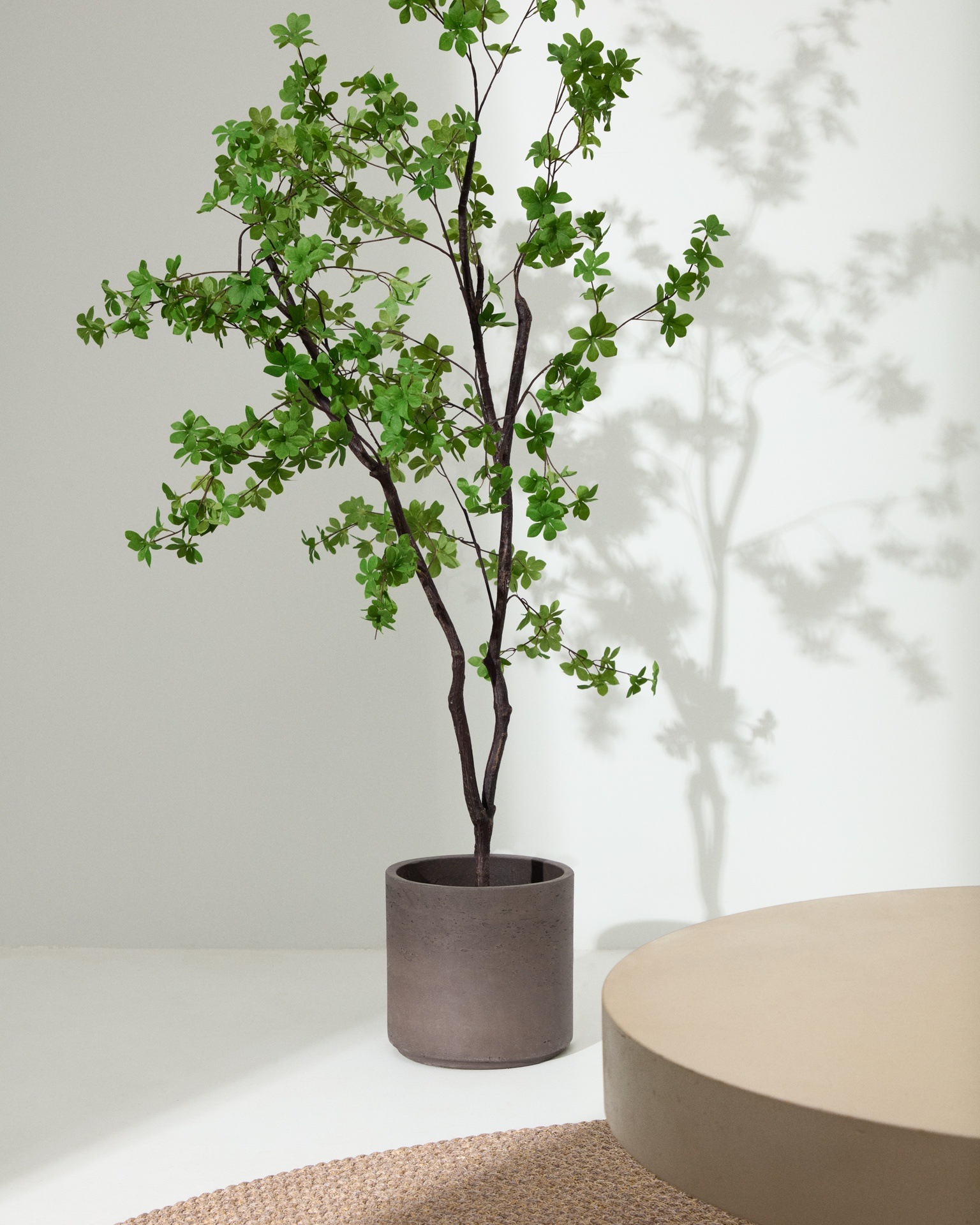 Enkianthus artificial tree with black pot 214 cm