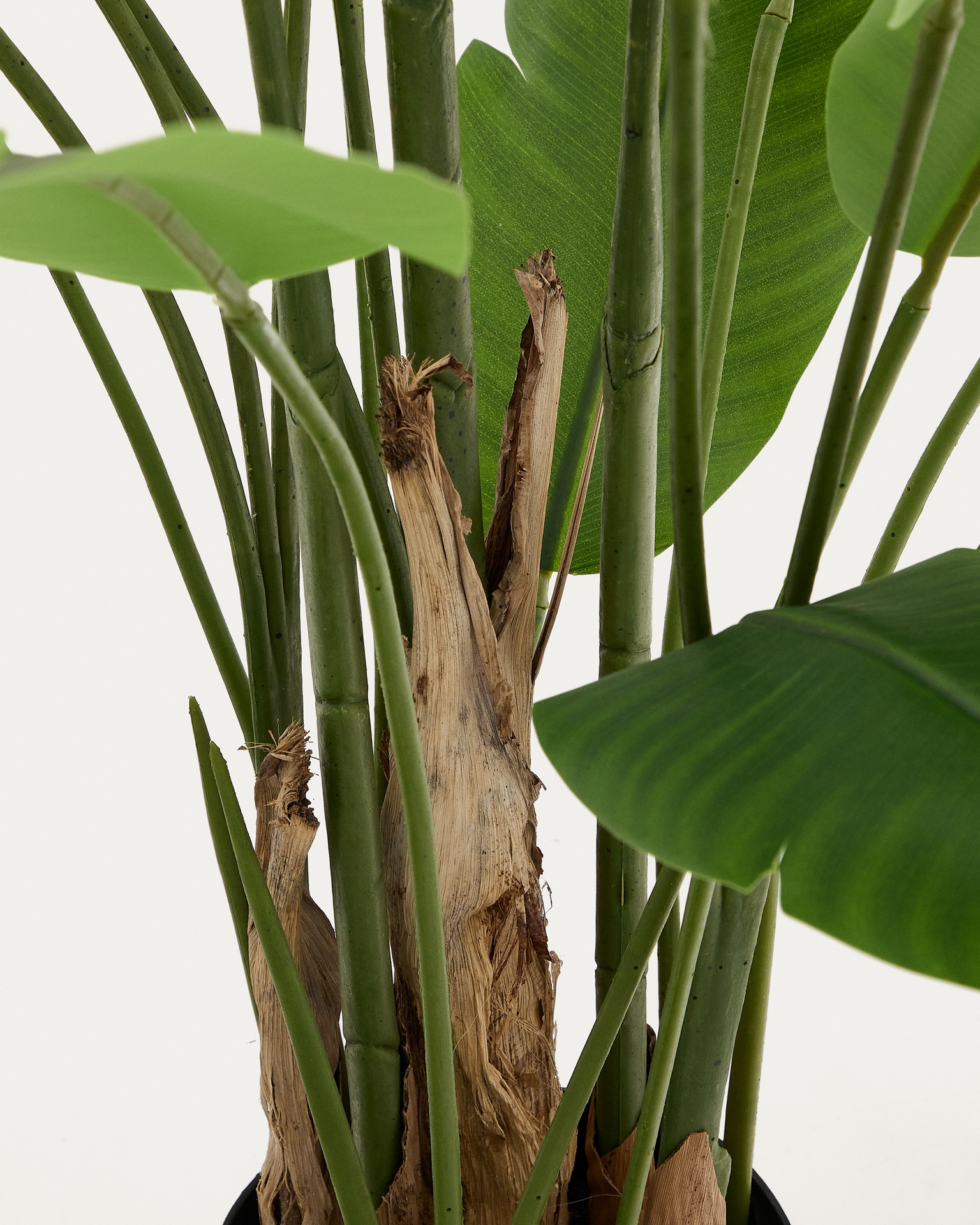 Artificial Banana plant in black pot 210 cm