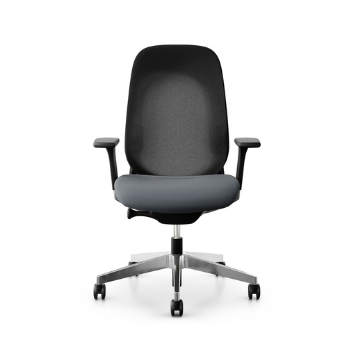 Giroflex office chair 40-4049 (New, Gray, Chrome-plated)