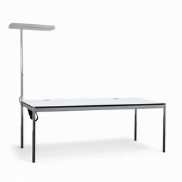 Designtisch USM Haller Advanced mit Lampe (200x100)