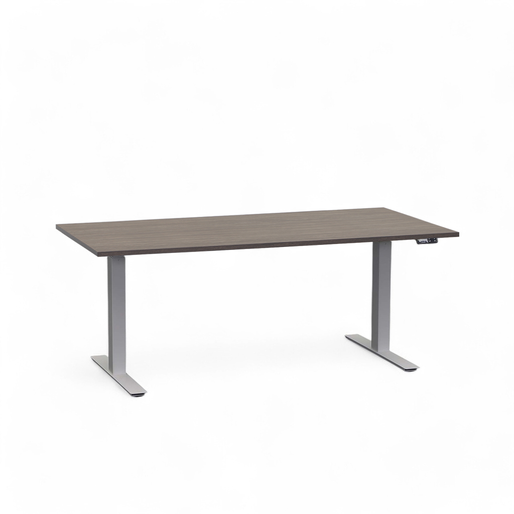 Stehpult höhenverstellbar Rol Elevate (Pappel, Neu, 160x80, Silbergrau)