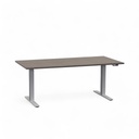 Stehpult höhenverstellbar Rol Elevate (Pappel, Neu, 160x80, Silbergrau)