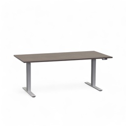 Stehpult höhenverstellbar Rol Elevate (Pappel, Neu, 160x80, Silbergrau)