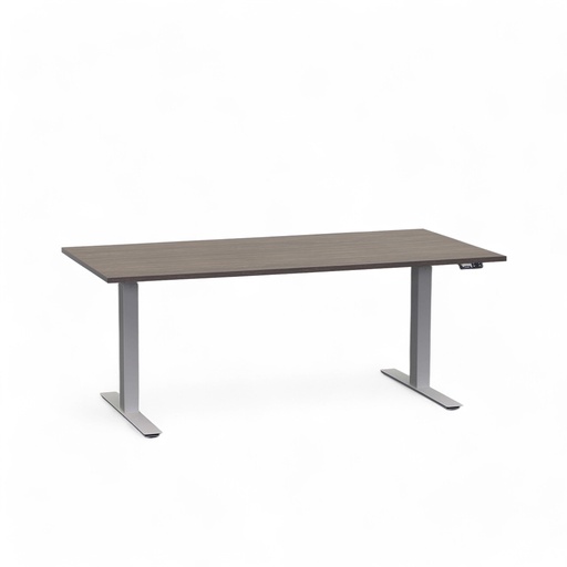 Stehpult höhenverstellbar Rol Elevate (Pappel, Neu, 160x80, Silbergrau)
