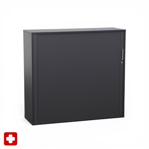 Rollladenschrank Ergodata V-Max  (Normal gebraucht, mit Schlüssel, 120)