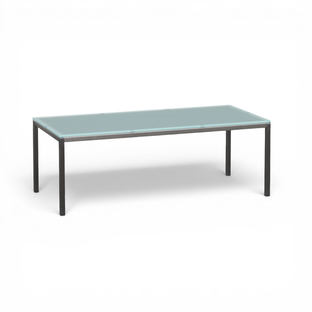 Glas Couchtisch (Normal gebraucht)