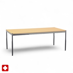 Designtisch USM Haller