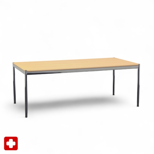 Designtisch USM Haller