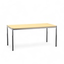 Schreibtisch Ergodata Multi Desk (Normal gebraucht, 160x80)
