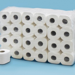 Directzone Toilettenpapier neutral, 100% Zellstoff, 3-lagig, weiss - Sack à 72 Rollen (Neu)