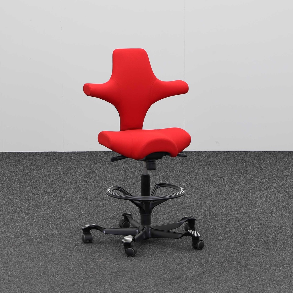 Ergonomischer Bürostuhl HAG Capisco 8106  (Sehr gut)