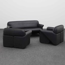 Lounge Garnituren de Sede ds-125 (Normal gebraucht)