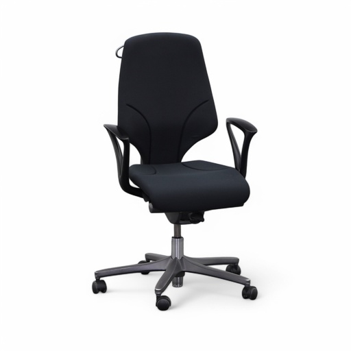 Bürostuhl Giroflex 64 mit Kleiderbügel (Normal gebraucht)