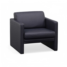 Lounge Sessel Walter Knoll (Normal gebraucht)