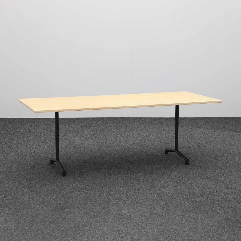 Konferenztisch (Gut)