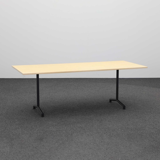Konferenztisch (Gut)