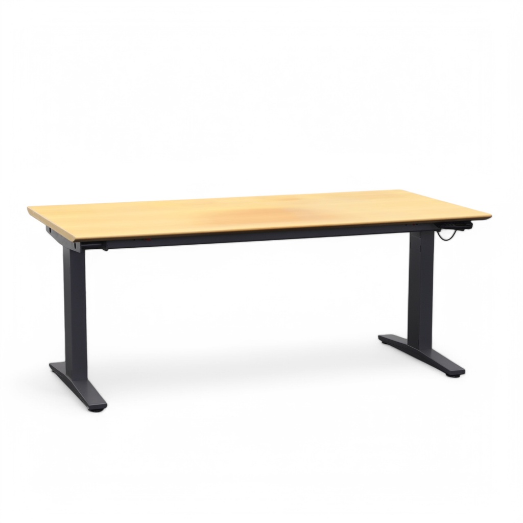 Stehpulte Ergodata System Desk (Normal gebraucht)