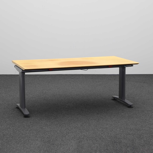 Stehpulte Ergodata Multi Desk (Normal gebraucht)