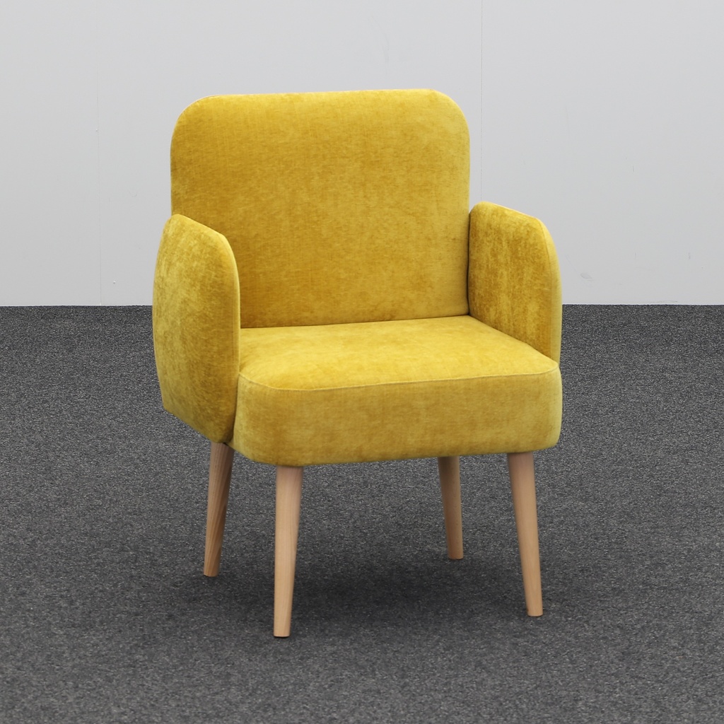 Lounge Sessel Sedex Club (Neu)