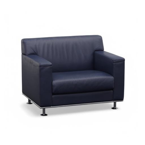 Lounge Sessel Matteo Grassi (Gut)