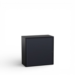 Rollladenschrank Tradingzone GO Swiss (Schwarz, Neu, mit Schlüssel, Schwarz, 80, 2 Ordnerhöhen)