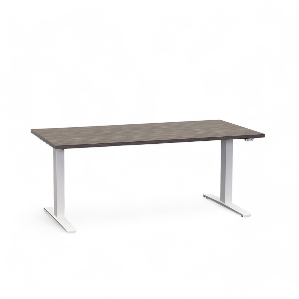 Schreibtisch el. höhenverstellbar ofSwiss (Sehr gut, 160x80, Pappel)