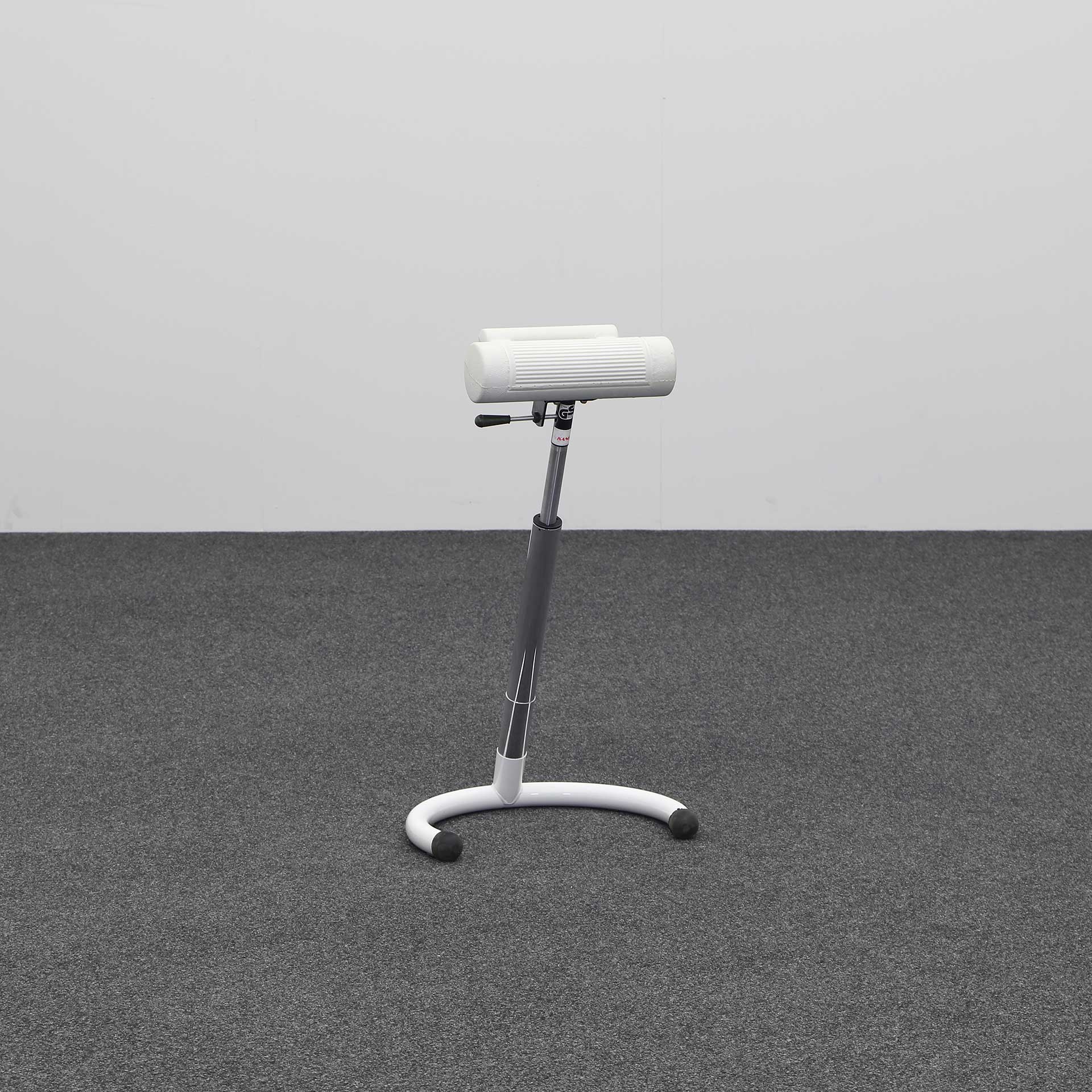 Kango Biens standing aid (Normal used)