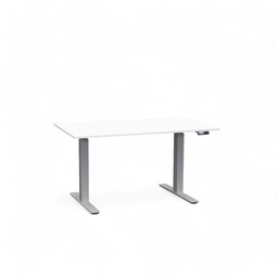 Elektrisch höhenverstellbarer Schreibtisch Tradingzone Work Pro (Neu, 120x70, Weiss, Silbergrau)