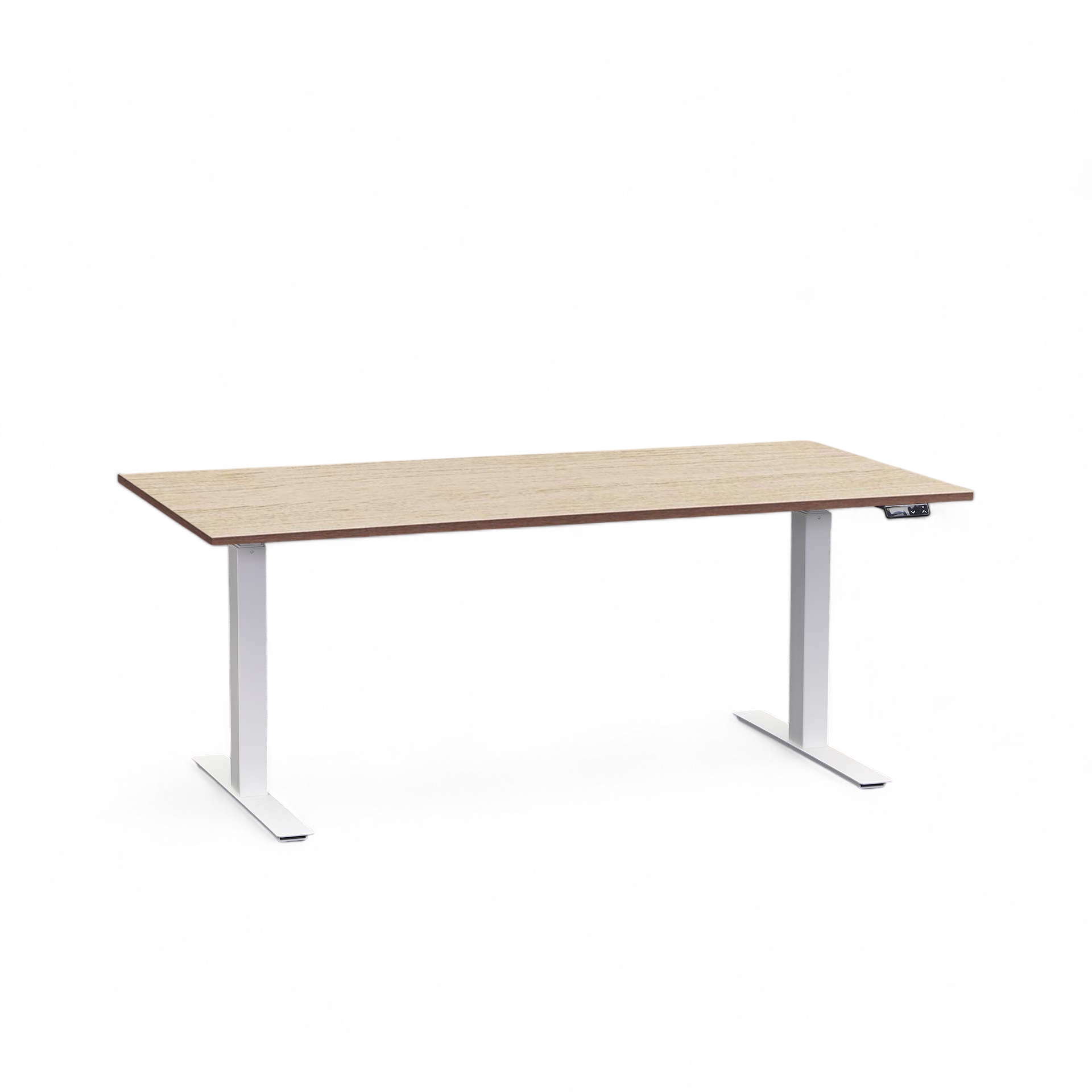 Elektrisch höhenverstellbarer Schreibtisch Tradingzone Work Pro (Eiche hell, Neu, 160x80, Weiss)