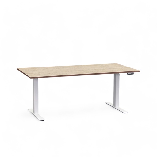 Elektrisch höhenverstellbarer Schreibtisch Tradingzone Work Pro (Eiche hell, Neu, 160x80, Weiss)