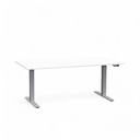 Elektrisch höhenverstellbarer Schreibtisch Tradingzone Work Pro (Neu, 160x80, Weiss, Silbergrau)