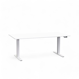Elektrisch höhenverstellbarer Schreibtisch Tradingzone Work Pro (Neu, 160x80, Weiss, Weiss)