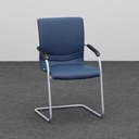 Freischwinger Sitzungsstühle (Normal gebraucht)