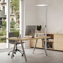 LED Stehlampe Tradingzone Adapt-F1 Desk Side (Weiss, Neu)