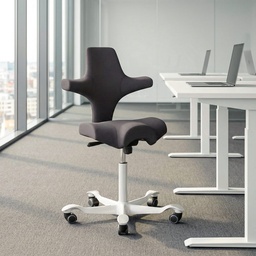 Ergonomischer Bürostuhl HAG Capisco 8106  (Anthrazit, Neu, Weiss)