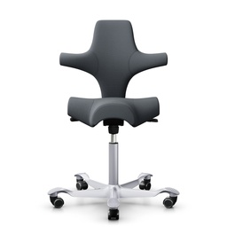 Siège-selle HAG Capisco 8106 (Gris, Nouveau, Gris argenté)