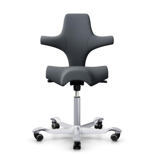Siège-selle HAG Capisco 8106 (Gris, Nouveau, Gris argenté)