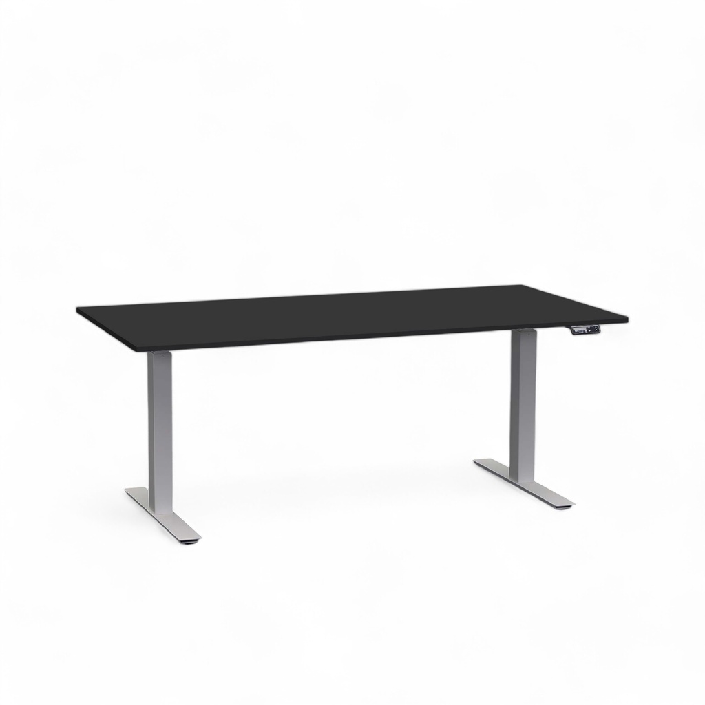 Elektrisch höhenverstellbarer Schreibtisch Tradingzone Work Pro (Neu, 160x80, Schwarz, Silbergrau)