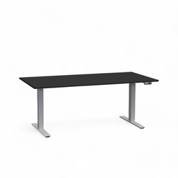 Elektrisch höhenverstellbarer Schreibtisch Tradingzone Work Pro (Neu, 160x80, Schwarz, Silbergrau)