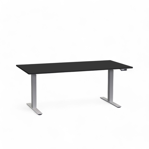 Elektrisch höhenverstellbarer Schreibtisch Tradingzone Work Pro (Neu, 160x80, Schwarz, Silbergrau)