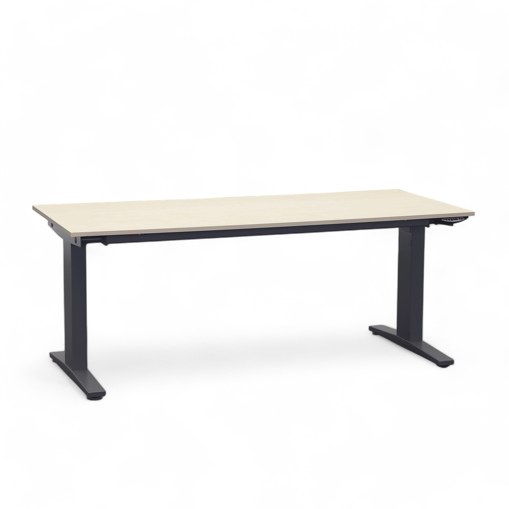 Stehtisch Ergodata Line Desk (Ahorn, Normal gebraucht, 160x80)