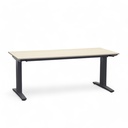 Stehtisch Ergodata Line Desk (Ahorn, Normal gebraucht, 160x80)